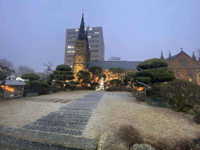 대구 눈. 독자 제공