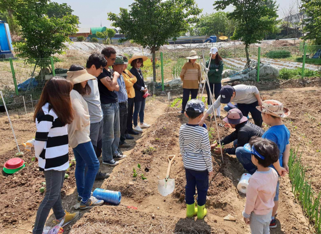 대구 동구 대림 도시텃밭. 대구시 제공