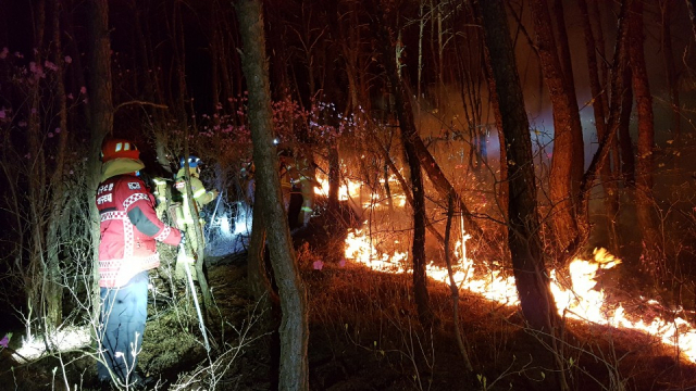 대구소방안전본부 소방대원들이 산불을 진압하는 모습. 대구소방안전본부 제공