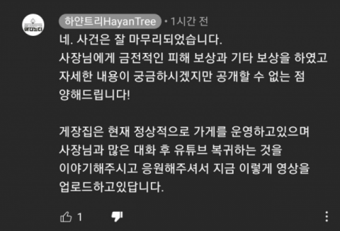 유튜버 하얀트리 댓글. 유튜브 캡처