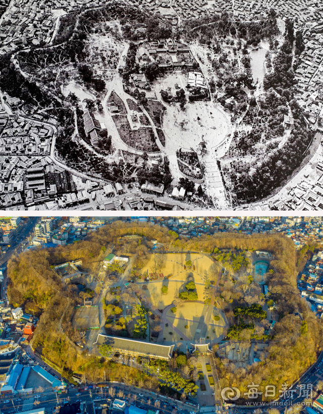 일제강점기 달성토성 중심부에 들어선 대구신사(大邱神社)(위). 대구신사는 1966년에 철거되고 동물원과 공원관리사무소 등의 건물이 들어섰다. 김태형 선임기자 thk@imaeil.com