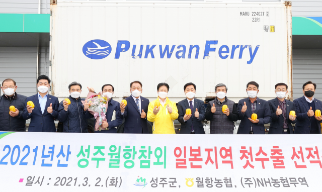 성주참외 올해 첫 일본 수출길.