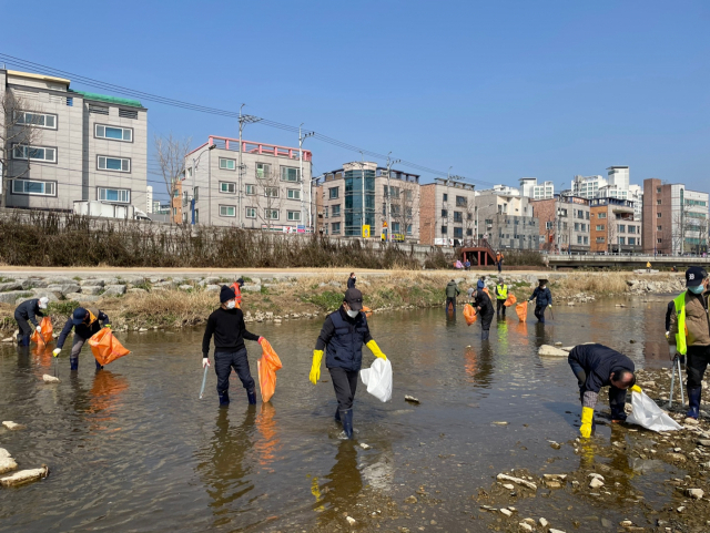 8일 오전 11시쯤 대구 북구청 직원 및 관계자들이 팔거천에서 집단 폐사한 물고기 사체를 건져내고 있다. 이영광 인턴기자