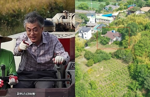 8년여 전, 18대 대선을 2개월 앞둔 2012년 10월 10일 당시 벼베기 돕기에 나섰던 문재인 민주통합당 후보, 경남 양산 사저 예정지. 연합뉴스