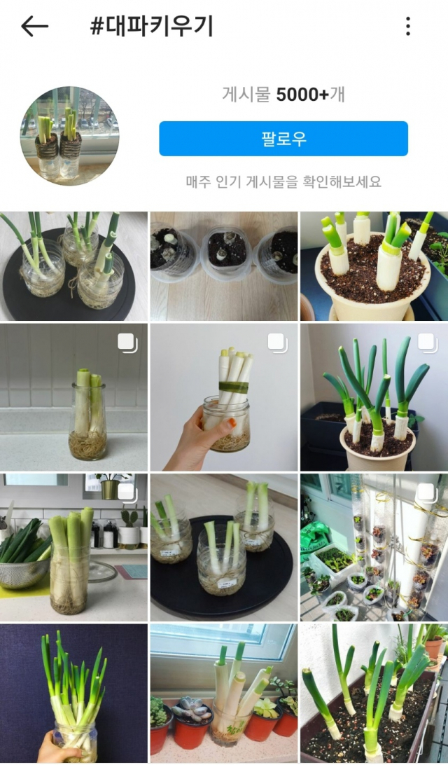 인스타그램에
