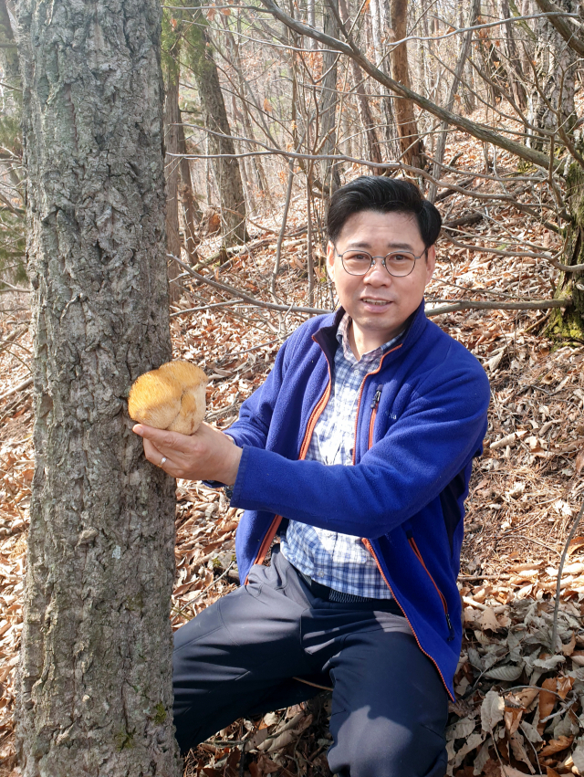 14일 경북 의성군 사곡면 한 야산에 오른 박노식 원장이 노루궁뎅이버섯을 채취하고 있다.