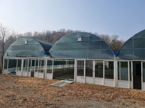 13일 오전 대구 수성구 이천동의 방치된 비닐하우스 모습. 임재환 인턴기자