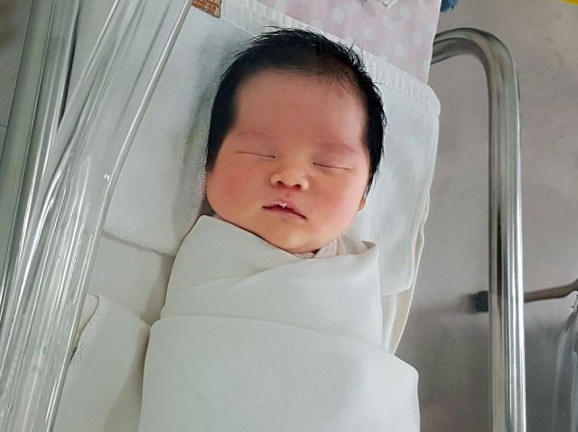 박다롱아가