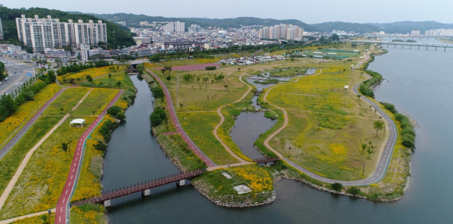 낙동강 초화단지