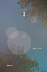 환한 숨 / 조해진 지음 / 문학과지성사