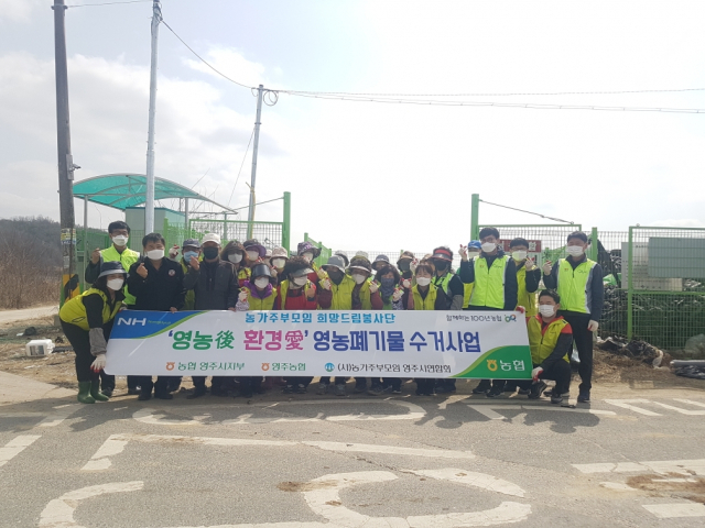 페비닐 수거활동을 벌인 농협직원들과 농가주부모임 회원들이 파이팅을 외치고 있다. 농협 영주시지부 제공