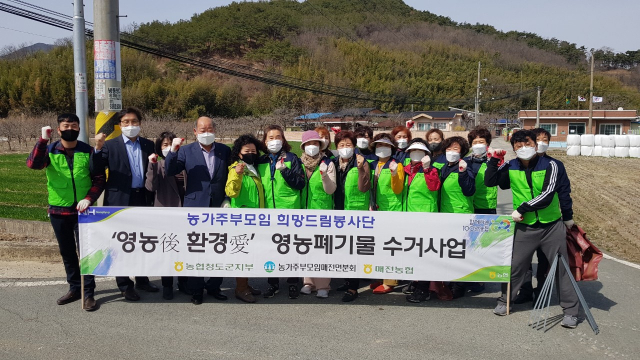 농협 청도군지부, 매전농협 영농페자재 수거 활동