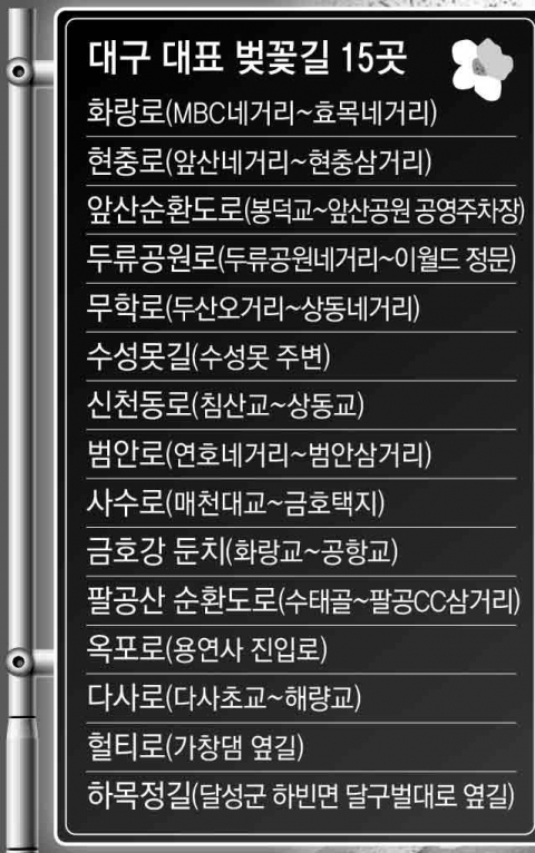벚꽃이 아름다운 옥포로의 모습. 대구시 제공