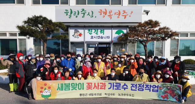 꽃사과나무 가로수 전정 작업에 참여한 봉사단체 회원들이 파이팅을 외치고 있다. 영주시 제공