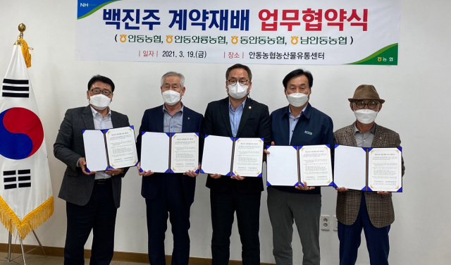 안동농협은 백진주쌀의 브랜드화를 위해 지역 3곳의 농협들과 백진주쌀 계약재배 협약을 체결했다. 사진 중앙이 배준호 농협 안동시지부장, 맨 오른쪽이 권순협 안동농협 조합장. 안동농협 제공