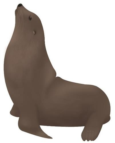 독도 바다사자 강치 이미지. 해양수산부 제공.