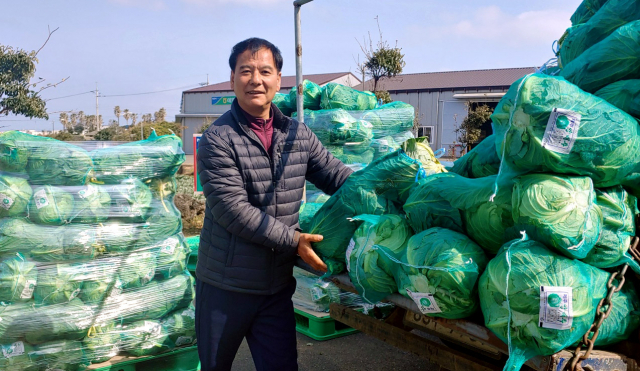 김학종 제주양배추생산자연합회장이 수확한 양배추를 화물차에 옮기고 있다.