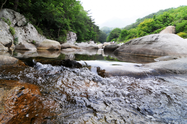 경남 합천 해인사 소리길(홍류동 계곡)
