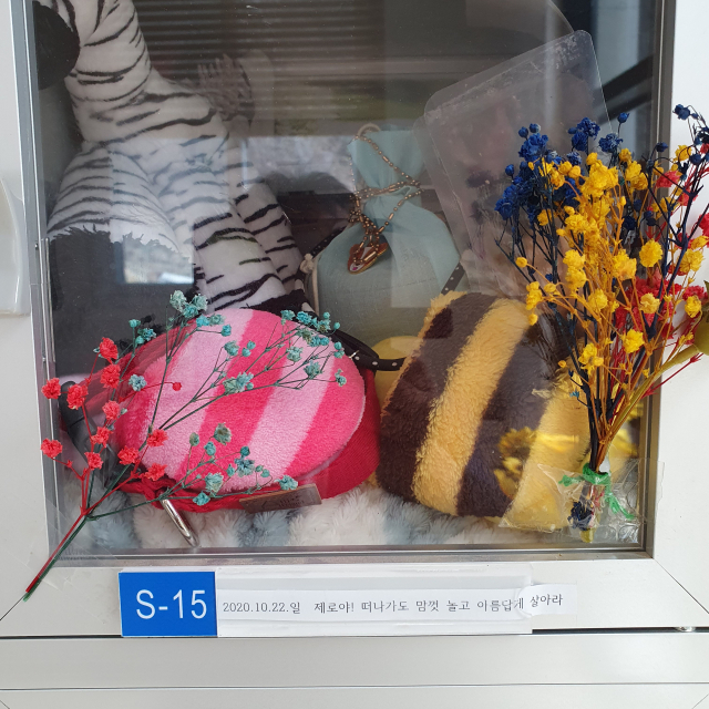 사고로 떠난 제로가 성주 강아지 펫헤븐에 안치 돼 있다.