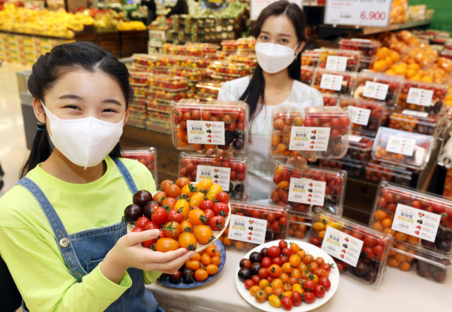 이마트는 오는 7일까지 젤리마토, 별마토 등 이색 신품종 2종과 일반 방울/대추방울토마토 2종을 함께 담은 