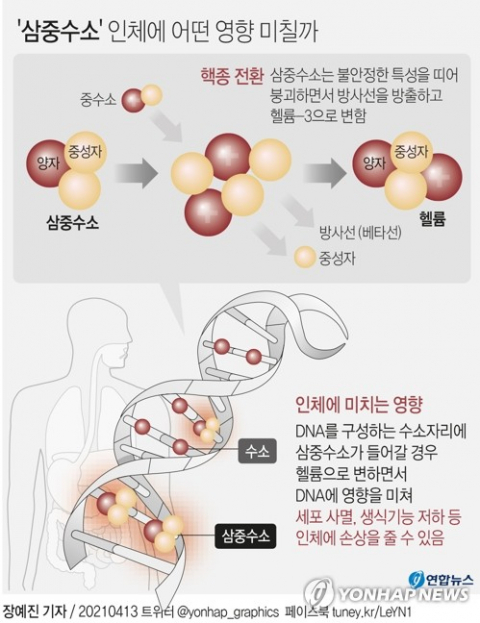 원전오염수흐름도. 참고