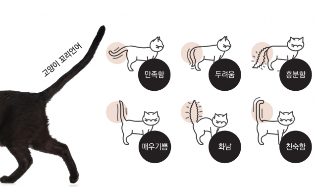 박순석
