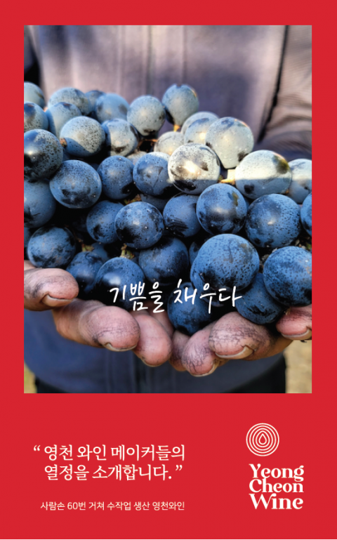 새롭게 리뉴얼된 영천와인 브랜드 로고 및 슬로건. 영천시 제공