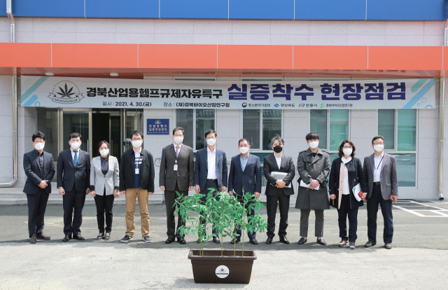 중소벤처기업부는 지난달 30일 국내 첫 헴프산업자유규제특구로 지정된 안동을 찾아 현장을 점검하고 헴프 산업화를 위한 본격적인 실증 작업에 착수했다. 사진은 중기부 규제자유특구위 현장 점검단의 방문 기념촬영. 안동시 제공