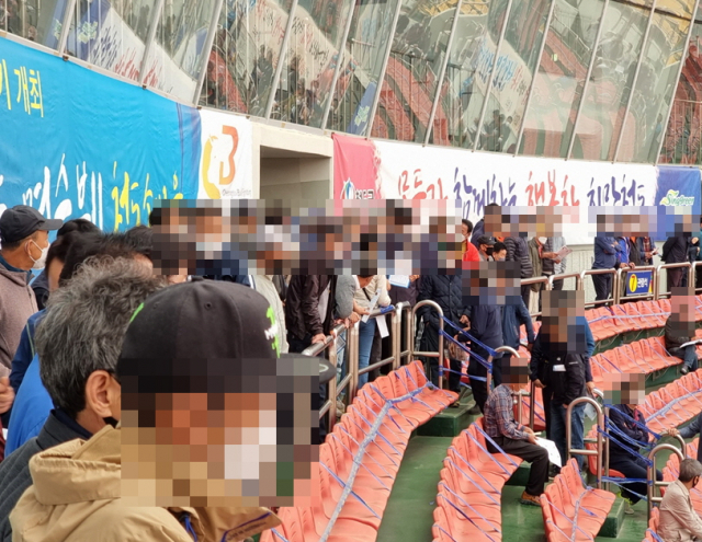 1일 오전 11시쯤 경북 청도의 소싸움장에 많은 사람이 몰렸다. 임재환 인턴기자