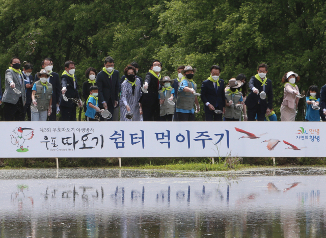 경남 창녕군이 6일 따오기 3차 방사를 맞아 우포늪에서 따오기 쉼터 먹이 주기 행사를 열고 있다. 연합뉴스