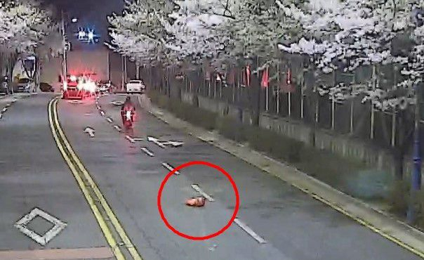 A씨가 음식물쓰레기를 투척하는 CCTV 영상.부산 금정구청 제공