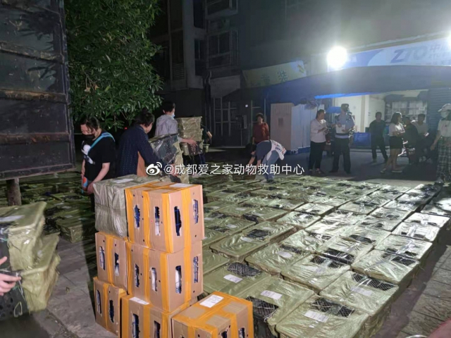 중국 스촨성 청두에서 적발된 반려동물 랜덤박스. 웨이보캡쳐