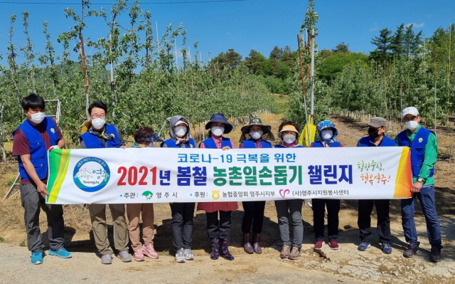 휴천2동 바르게살기 회원들이 봄철 농촌일손돕기 챌린지에 동참하고 있다. 영주시 제공