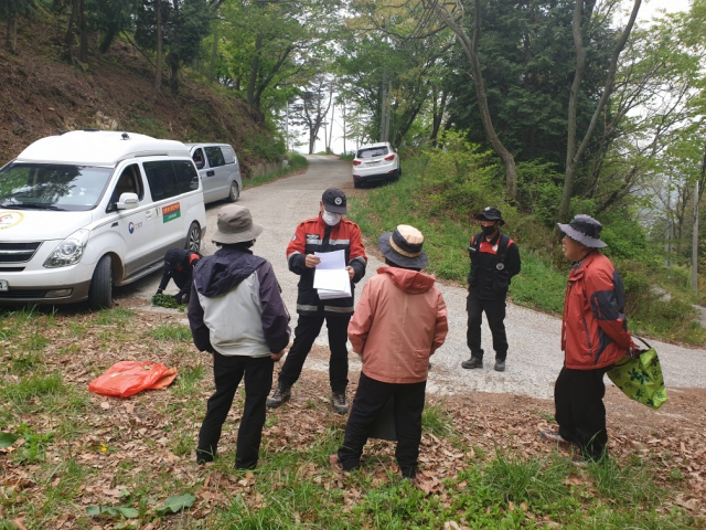남부지방산림청이 산림내 각종 불법행위 단속에 나선다. 남부지방산림청 제공