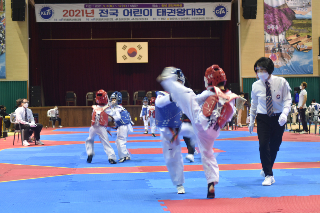 창녕군민체육관에서 열린 전국 어린이 태권왕대회 광경. 창녕군 제공