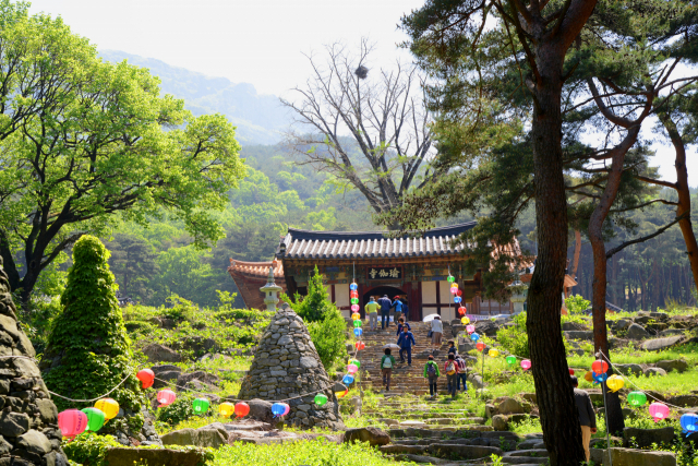 도성국사가 창건한 것으로 전해지는 달성군 유가읍 양리에 위치한 비슬산 유가사.