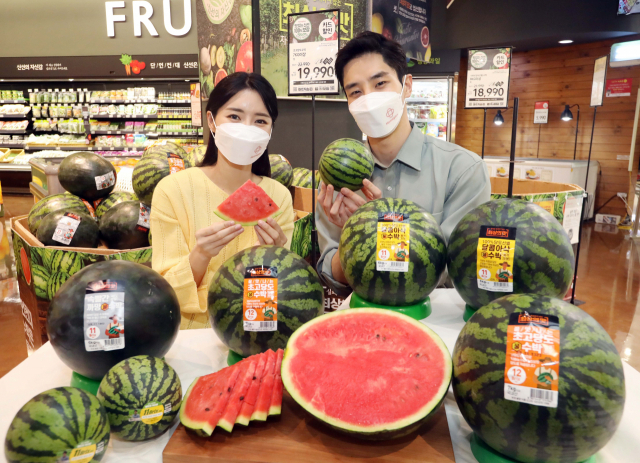홈플러스는 초고당도 수박과 당도선별 수박, 까망꿀수박, 깎아먹는 애플수박 등 수박 전상품을 모아 최대 3천원 할인 행사를 진행한다고 16일 밝혔다. 모델들이 홈플러스 한 매장에서 올해 수박 상품을 소개하고 있다. 홈플러스 제공