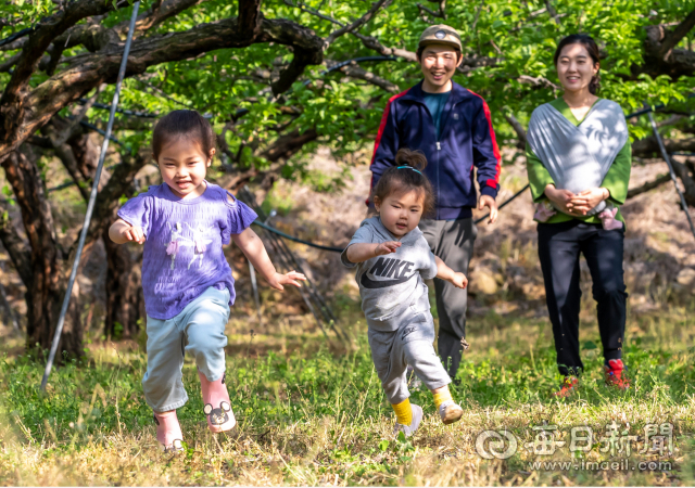 도시 직장 생활을 접고 5년 전 고향 의성으로 귀농한 송승리·손다은 씨가 마당 앞 자두밭에서 아이들과 산책하고 있다. 내 집 마련은 물론, 농사를 지어 직거래 유통 혁신으로 연 매출 3억원이 넘기면서 6차산업 청년 CEO의 꿈을 키우고 있다. 김태형 선임기자 thk@imaeil.com