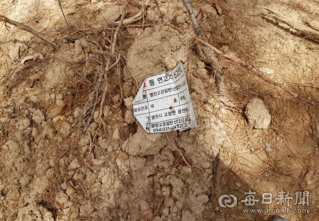 A문중 종친회가 불법 개장을 주장하는 조상 분묘 자리에 남아있는 연고자 신고 안내문. A문중 제공