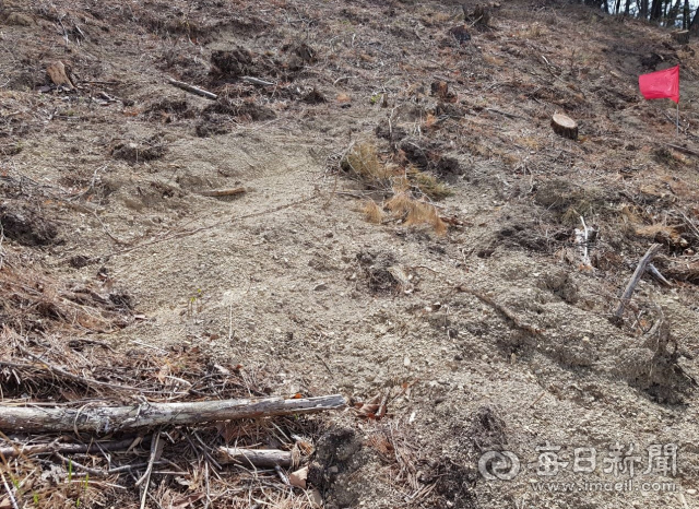 A문중 종친회에서 불법 개장을 주장하는 영천 고경산단 조성 부지내 조상 분묘 현장 모습. A문중 제공
