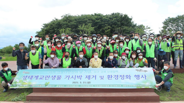 지난 21일 낙동·금호강변 일대에 생태계교란 식물인 가시박 제거를 위해 대구시와 경북도가 함께 나서 제거작업을 벌였다. 대구시 제공
