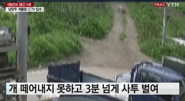 YTN 뉴스 화면