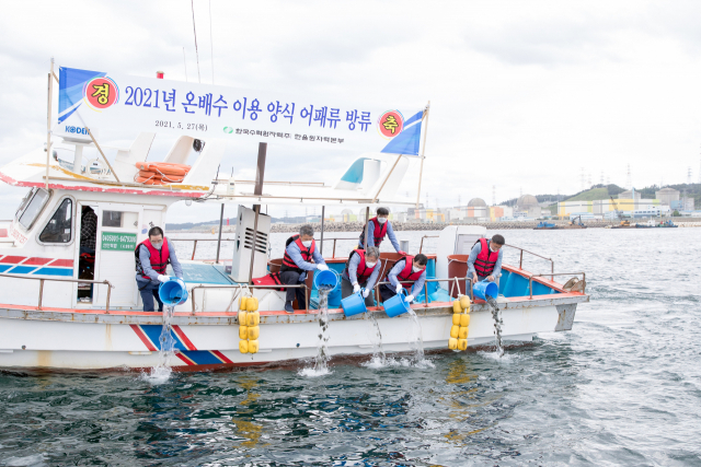 한울본부가 27일 양식어패류 5만 마리를 울진 해역에 방류하고 있다. 한울본부 제공