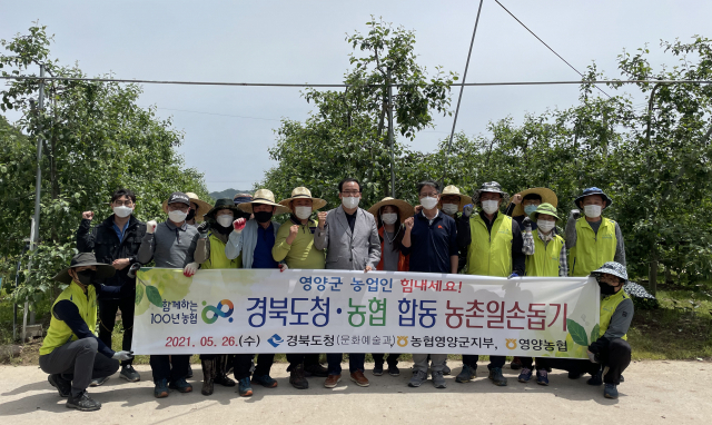 일손돕기