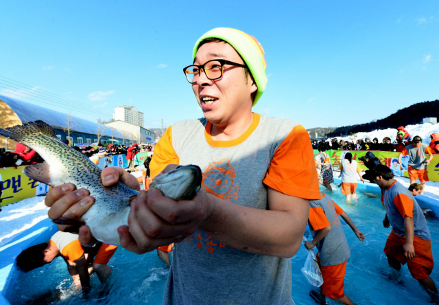 평창송어축제에서 맨손으로 송어잡기