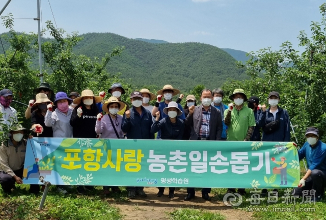 경북 포항시 평생학습원은 6월 2일 포항시 북구 기북면 과수농가에서 농촌일손돕기 활동을 벌였다. 포항시 제공