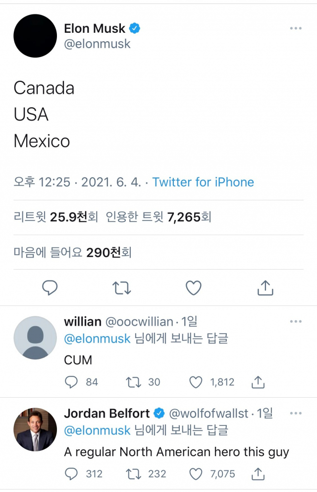 일론 머스크 트위터 캡처