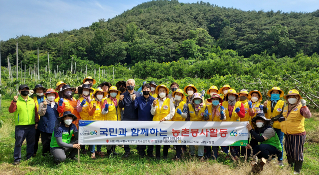 적십자봉사회, 농협 농촌일손돕기 봉사활동