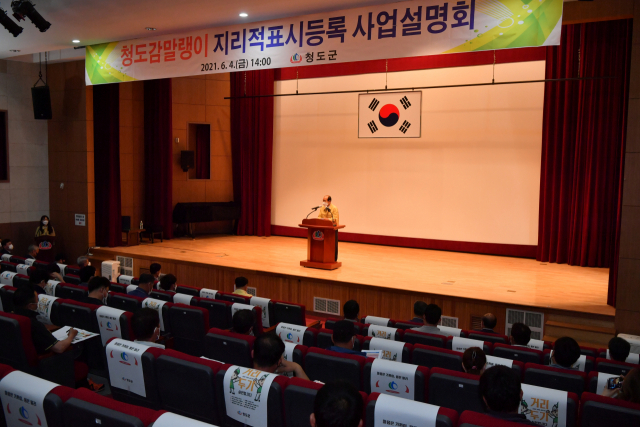 청도군은 4일 감말랭이 가공법인을 대상으로 청도감말랭이 지리적표시 등록 사업설명회를 가졌다. 청도군 제공