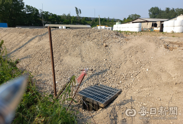 영천시가 불법 성토에 대한 원상복구 조치를 완료했다고 민원인에게 통보한 본촌동 농지 및 초지 모습. 바로 옆 농로길보다 1m 정도 높은 상태로 성토돼 평탄 작업이 이뤄져 있다. 강선일 기자